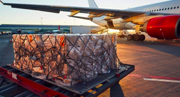 What types of cargo can be exported by air freight?